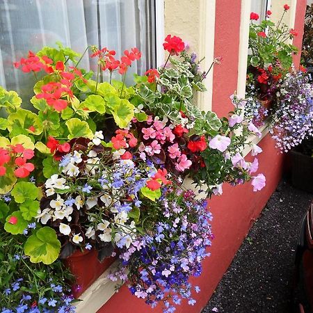 ホテルAchill House コーク エクステリア 写真