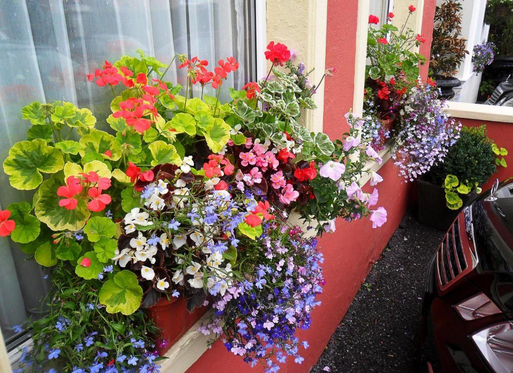 ホテルAchill House コーク エクステリア 写真